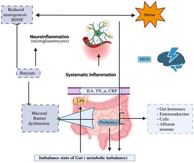 Mood and microbes: a comprehensive review of intestinal microbiota’s impact on depression